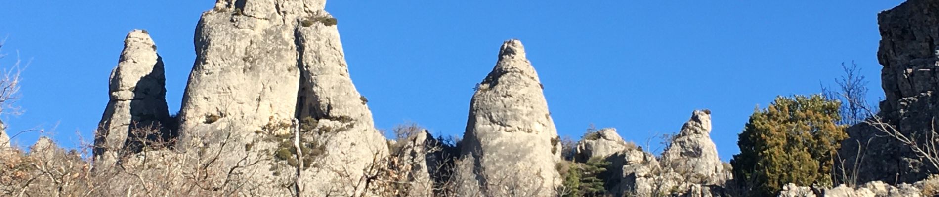 Trail Walking Saint-Félix-de-l'Héras - Les Fabres - Mas Rouquet - Photo