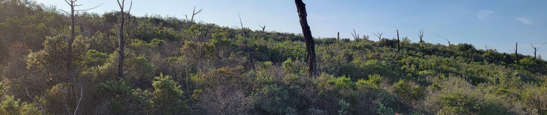 Tocht Stappen La Motte - Les Bélugues par la Rimade - Photo