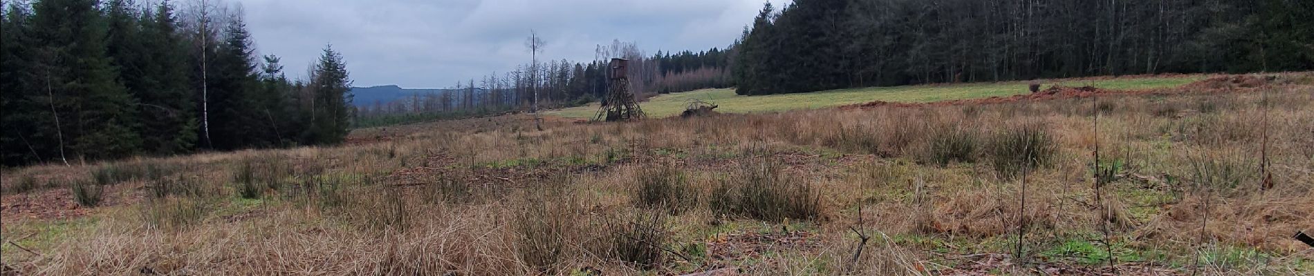 Tour Wandern Dreibrücken - wanne 14/02/2020 - Photo