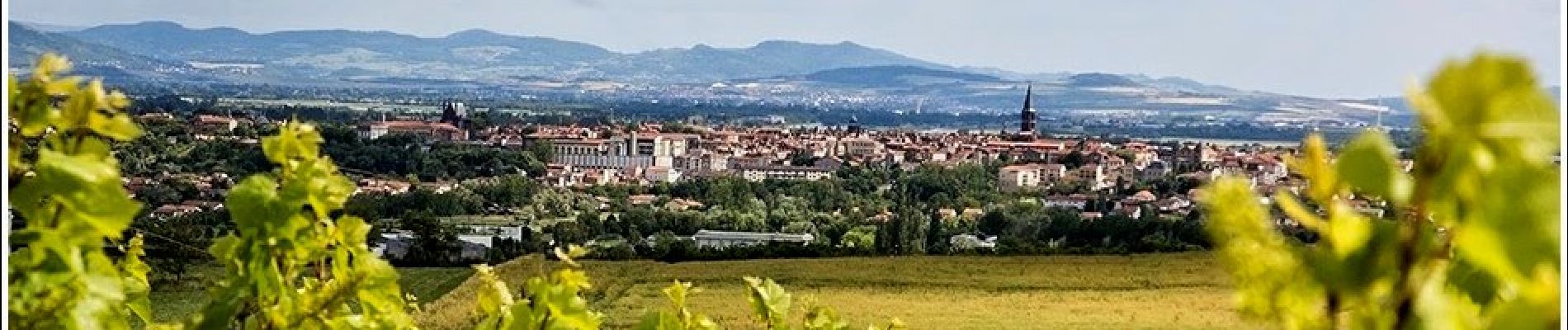 Excursión Senderismo Riom - Riom_Vignes_Ronchalon - Photo