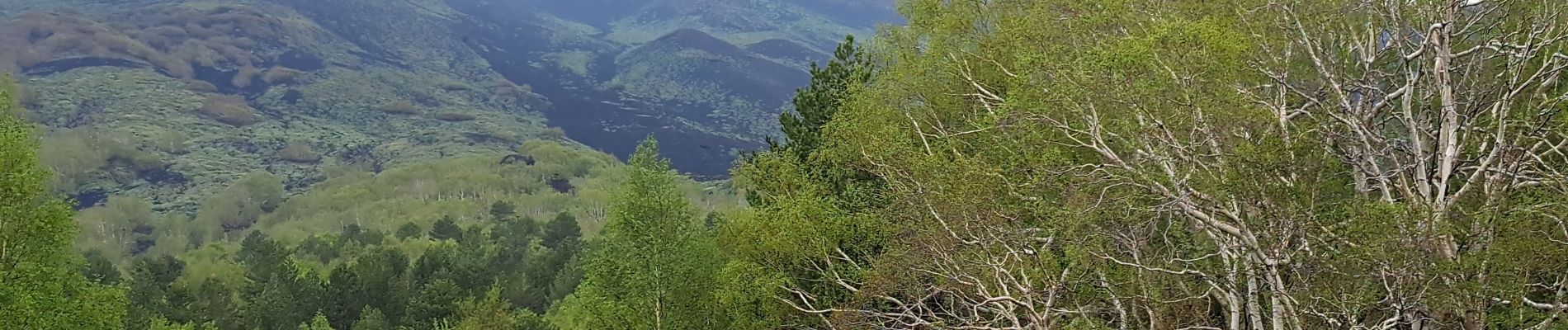 Randonnée Marche Sant'Alfio - SICILE ETNA Cratères 