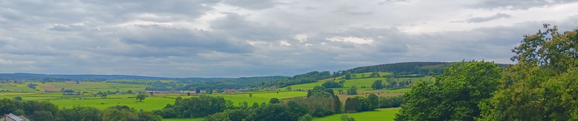 Tour Wandern Theux - tancremont - mousset versant vesdre retour via versant hoegne - Photo