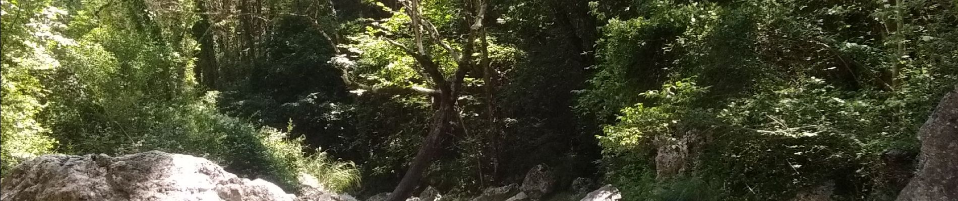 Tour Wandern Omblèze - Chute de la Druise - Photo