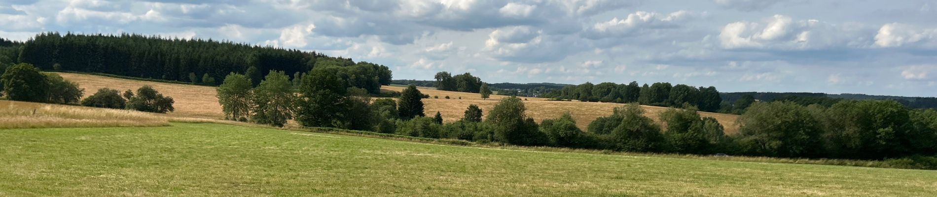 Tocht Paardrijden Habay - Forêt de Rulles - Photo