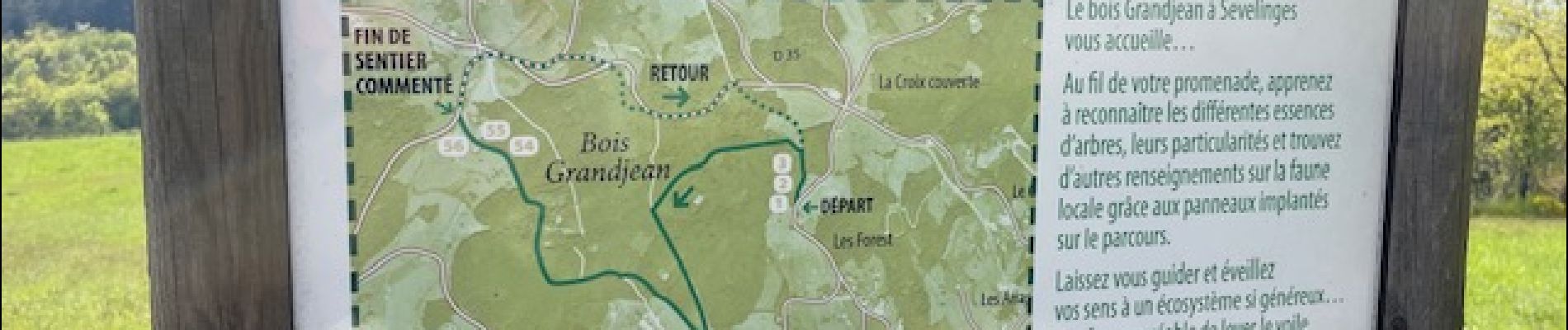 Point of interest Sevelinges - Parcours forestier de découverte - Photo