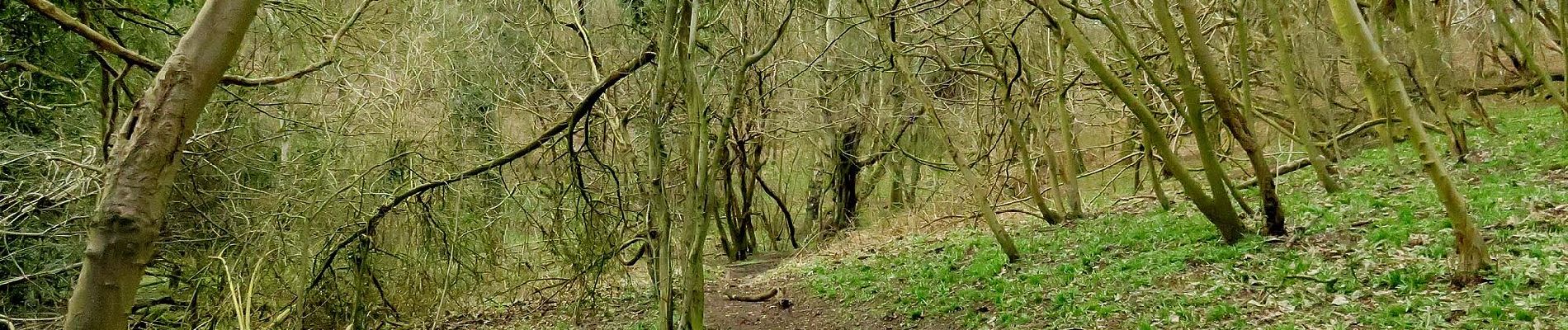 Tour Zu Fuß South Oxfordshire - Boundary Patrol - Photo