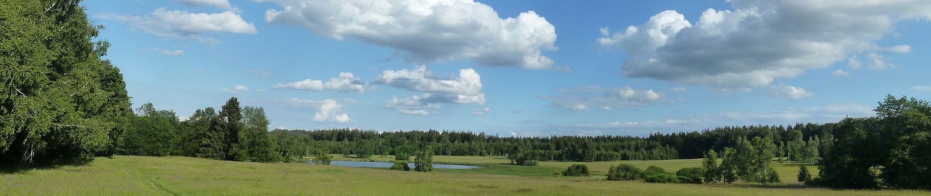 Excursión A pie Essingen - Glaubensweg 26 - Photo