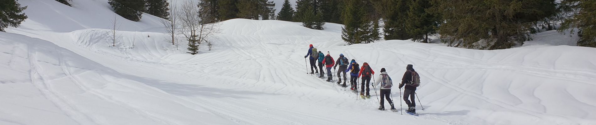 Tour Schneeschuhwandern Divonne-les-Bains - La Dole alt 1676m en raquette - Photo