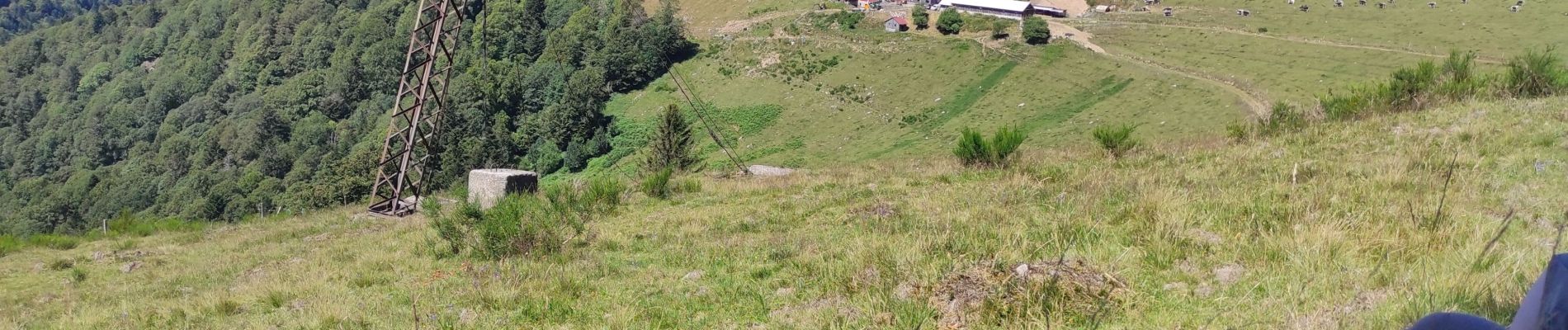 Tour Wandern Krüt - Felsach. loupé - Photo