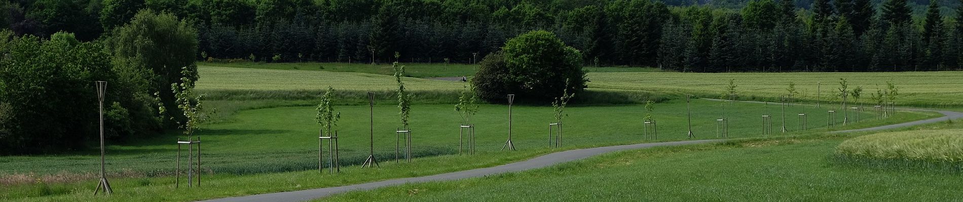 Percorso A piedi Herborn - Saar-Hunsrück-Steig Zuwegung Herrstein über Oberwörresbach - Photo