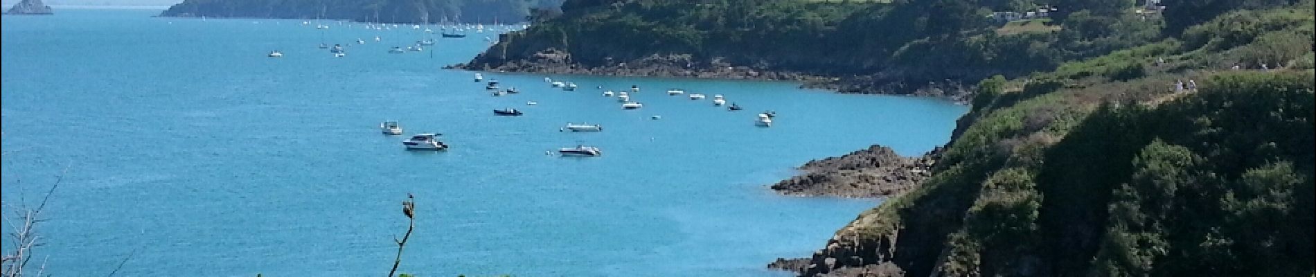 Tour Wandern Cancale - Cancale Port Mer - 15.3km 290m 5h05 - 2017 06 19 - Photo