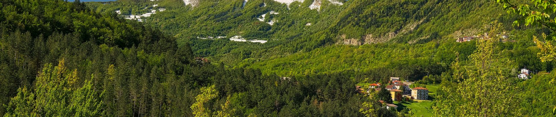 Trail On foot Brallo di Pregola - Anello della Montagnola - Photo