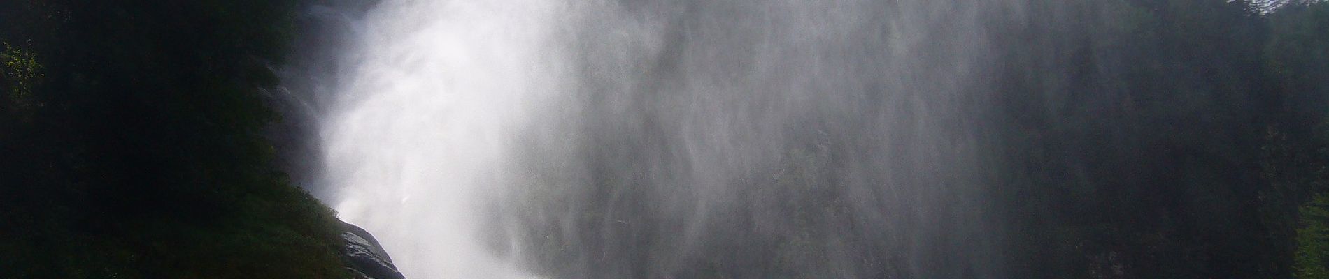 Percorso A piedi Pelugo - Sentiero della Val di Lares - Photo