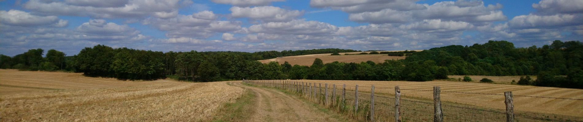 Excursión Senderismo Neuville-sur-Brenne - Neuville-sur-Brenne - 9.8km 125m 2h15 - 2023 07 19 - Photo