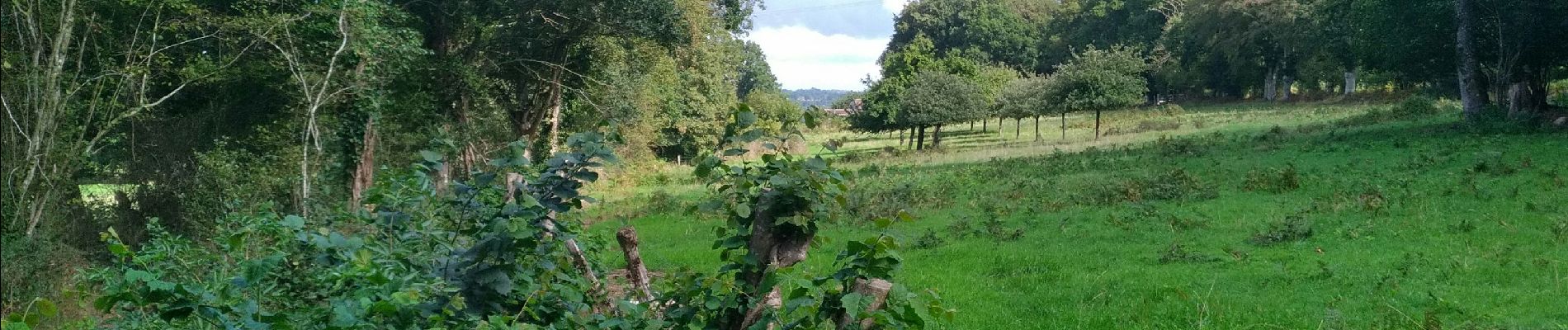 Trail Walking Putanges-le-Lac - de hameau en hameau - Photo