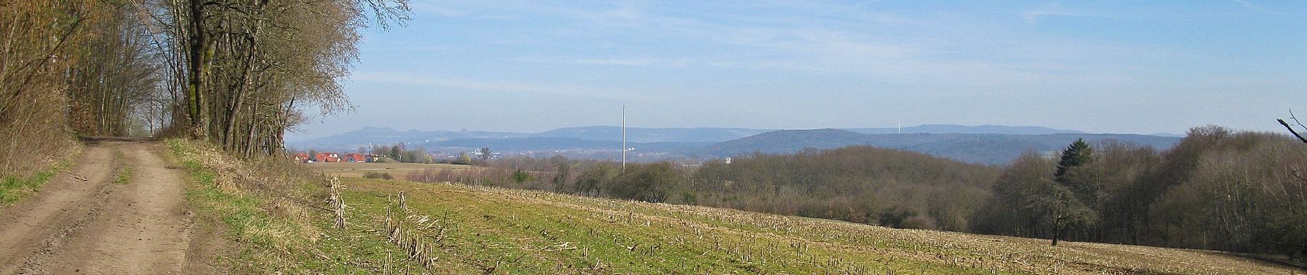 Percorso A piedi Baunach - Wildschwein-Wanderweg Baunach - Photo