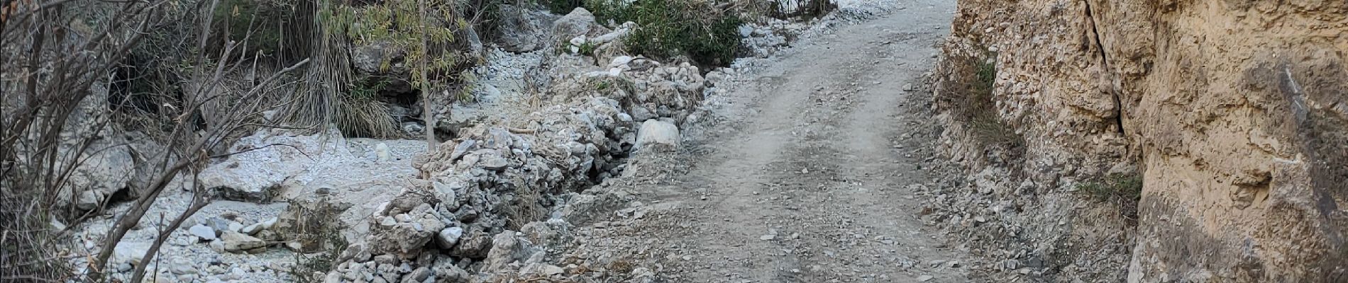 Excursión Senderismo Frigiliana - Frigiliana Sierra Tejada - Photo