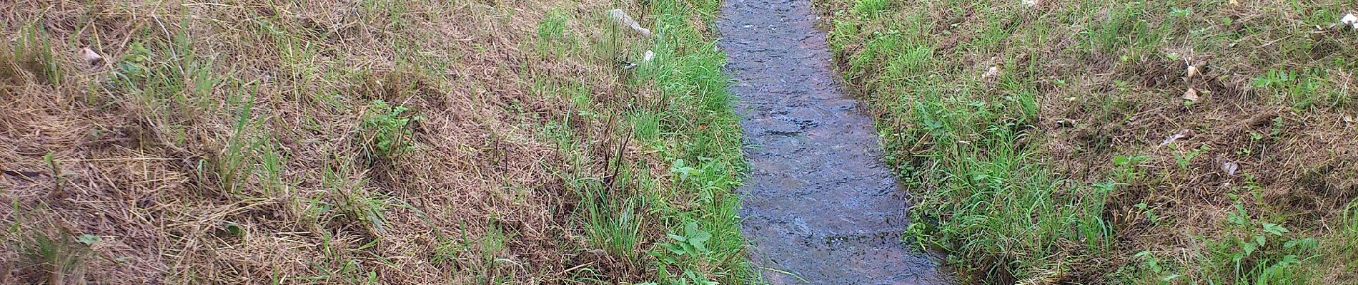 Randonnée A pied Großheubach - Ortswanderweg Großheubach G1 - Photo