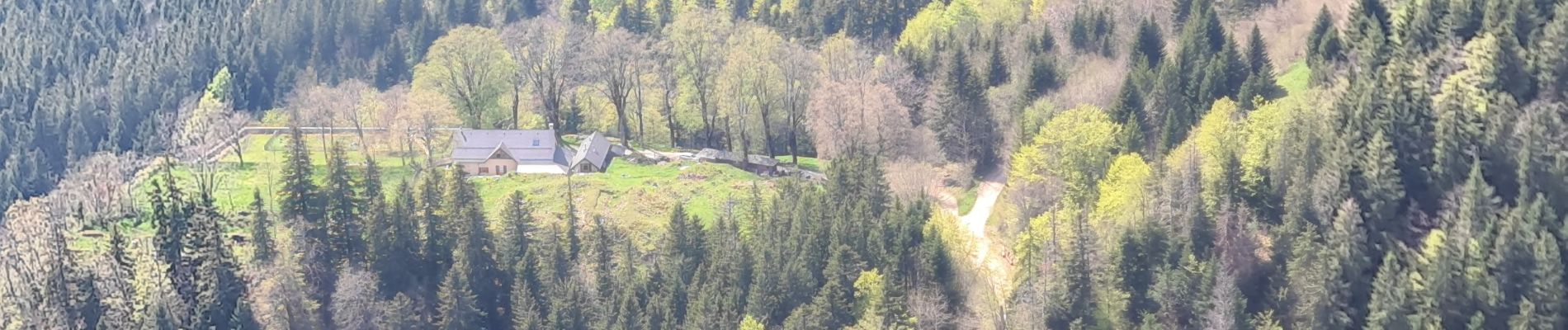 Excursión Senderismo Arvière-en-Valromey - Le Grand Colombier - Photo