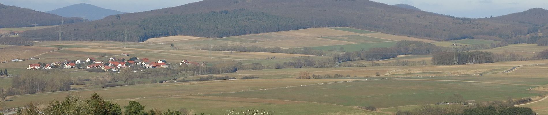 Tour Zu Fuß Hünfeld - Rundweg am Weinberg - Photo