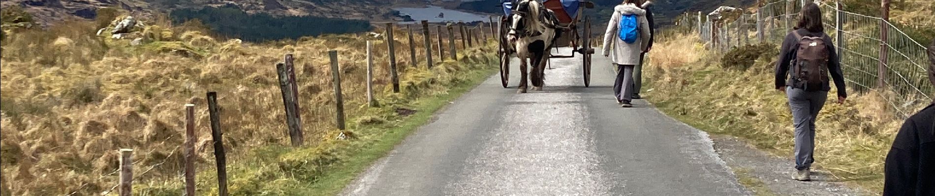 Tocht Stappen Kenmare Municipal District - Gap of Dunloe - Photo