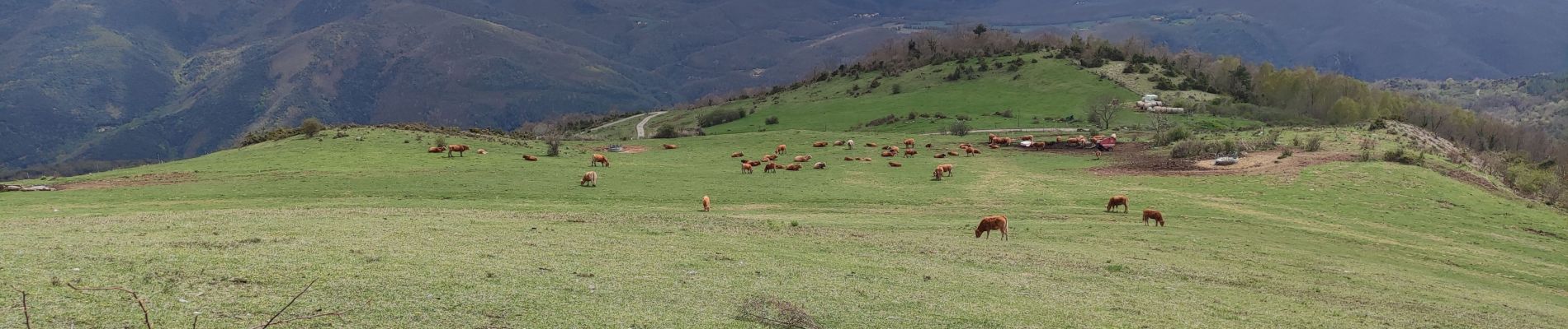 Tour Wandern Montferrer - MONTFERRER MARDI JOURNÉE Fait - Photo