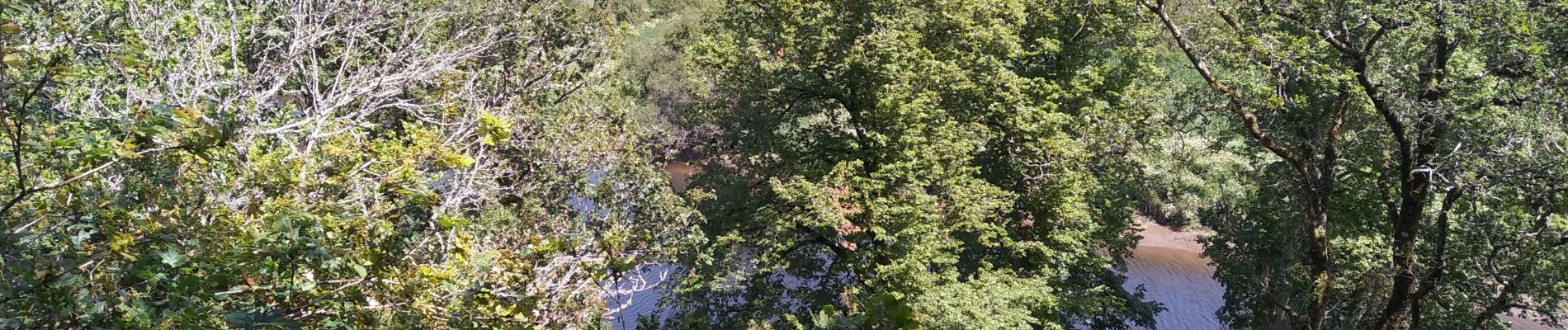 Tour Wandern Quimperlé - QUIMPERLÉ - Photo