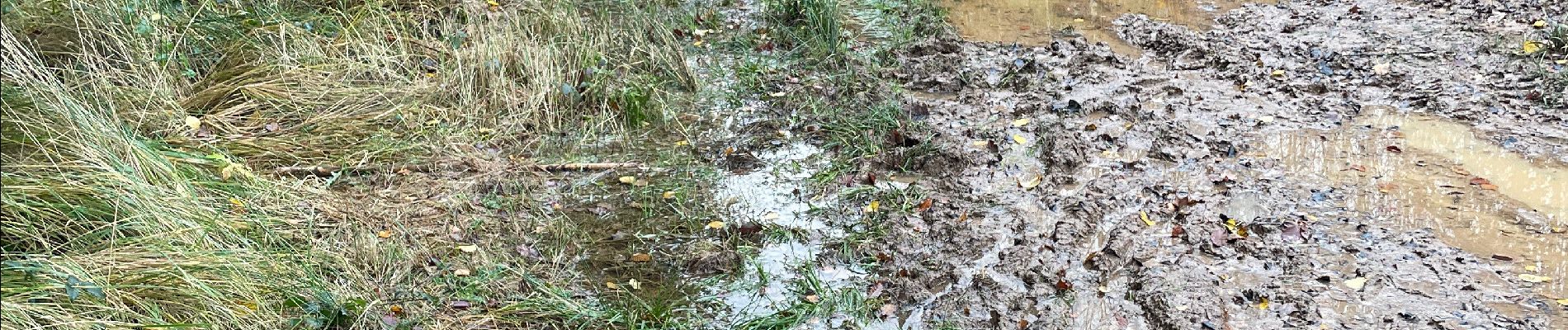 Randonnée Marche Theux - Tancremont 8 Km  - Photo