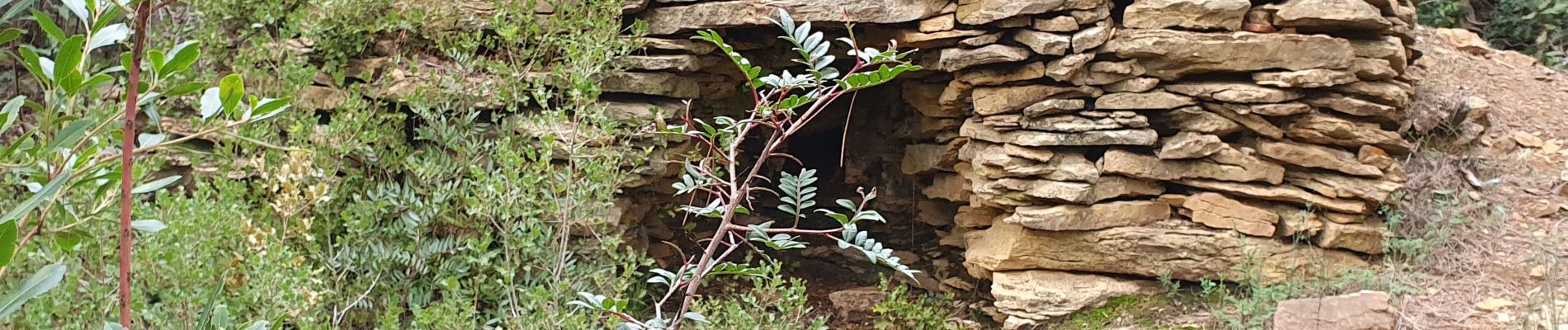 Excursión Senderismo La Cadière-d'Azur - saint cyr les fours à cade - Photo