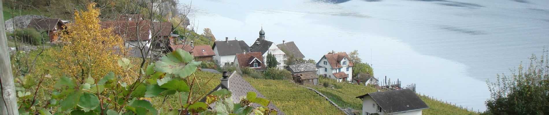 Percorso A piedi Walenstadt - Walenstadtberg - Quinten - Photo