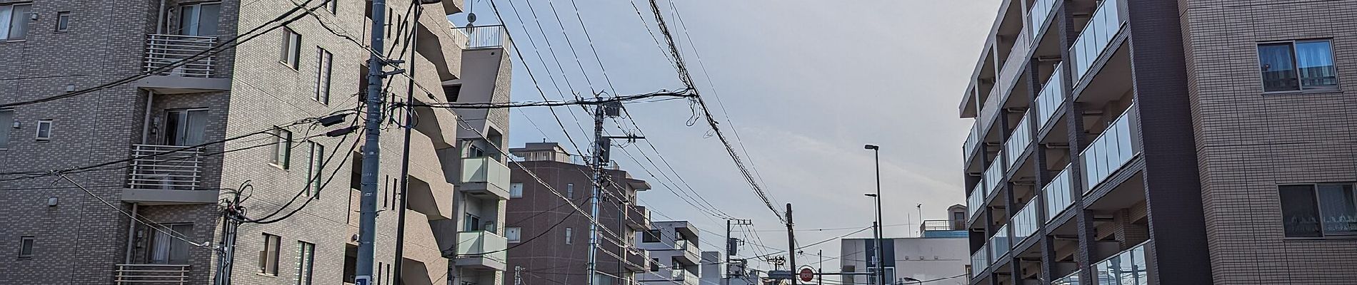 Trail On foot Unknown - みどりの散歩道　碑文谷・立会川コース - Photo