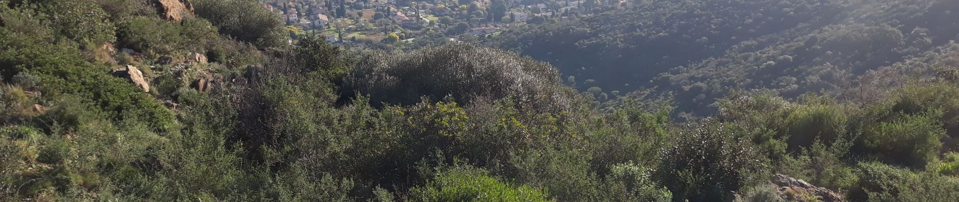 Trail Walking Le Lavandou - tracer au 2 normes du Lavandou - Photo