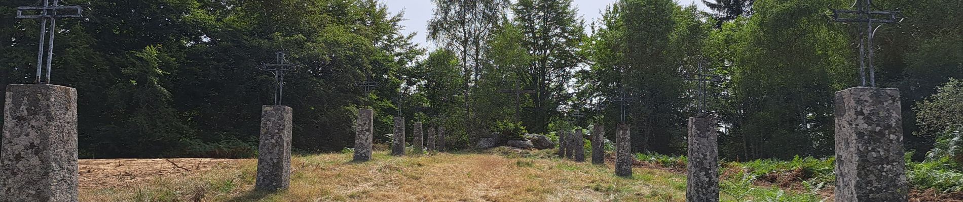 Excursión Senderismo Chambon-sur-Dolore - AUVERGNE 2023 Chambon-Frideroche - Photo