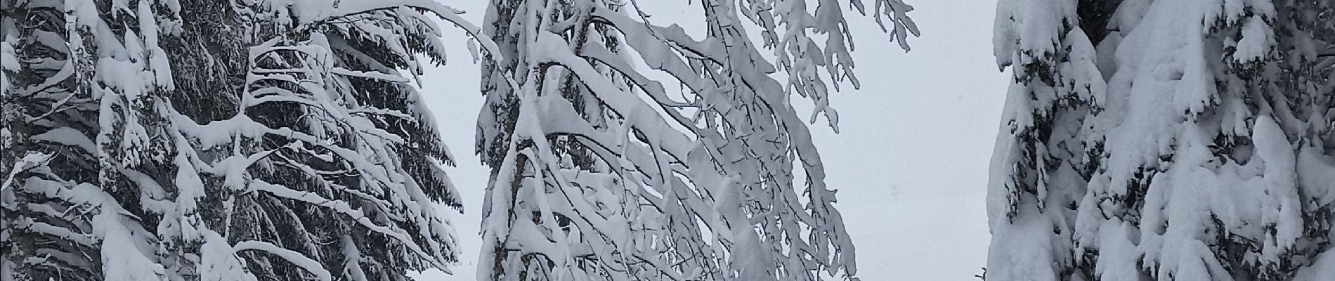 Excursión Raquetas de nieve La Pesse - Ambossieux /La Pesse par tire fesse  - Photo