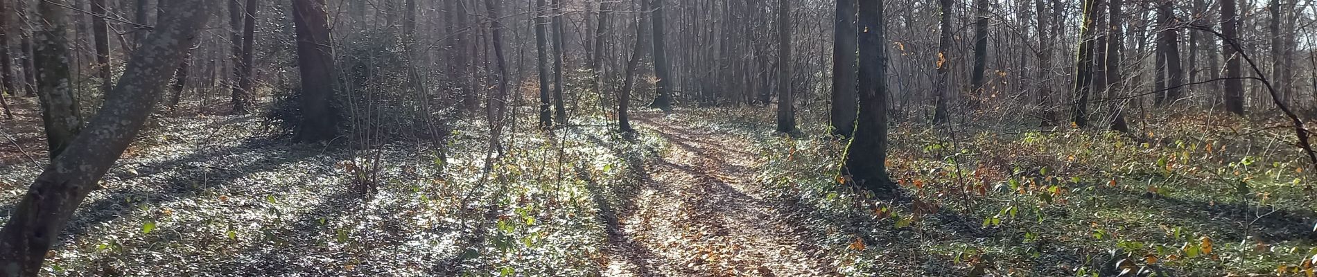 Tour Wandern Prugny - Prugny 19km le 20.02.2023 - Photo