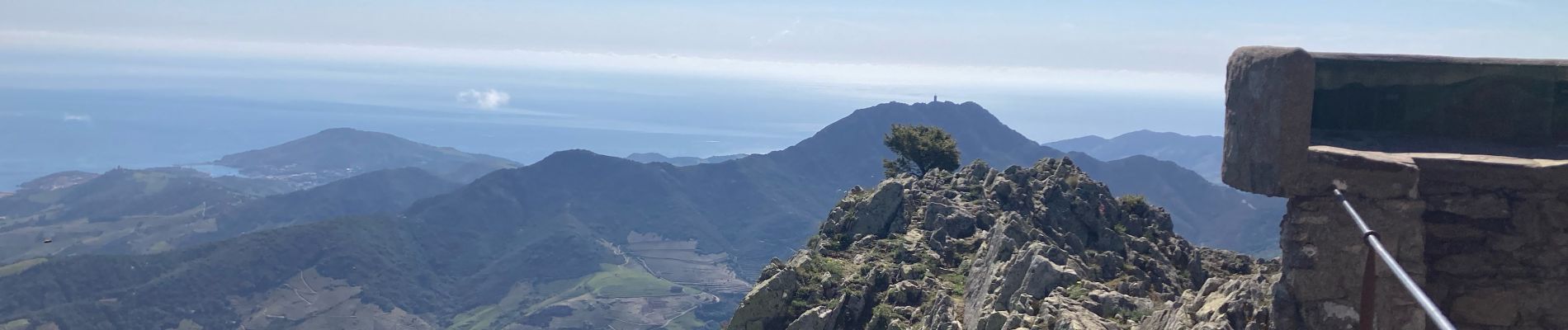 Trail  Argelès-sur-Mer - Massane - Photo