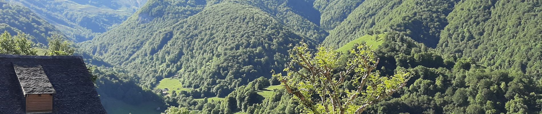 Randonnée Marche Aydius - Chemin des buis de Camloung-Segnate - Photo