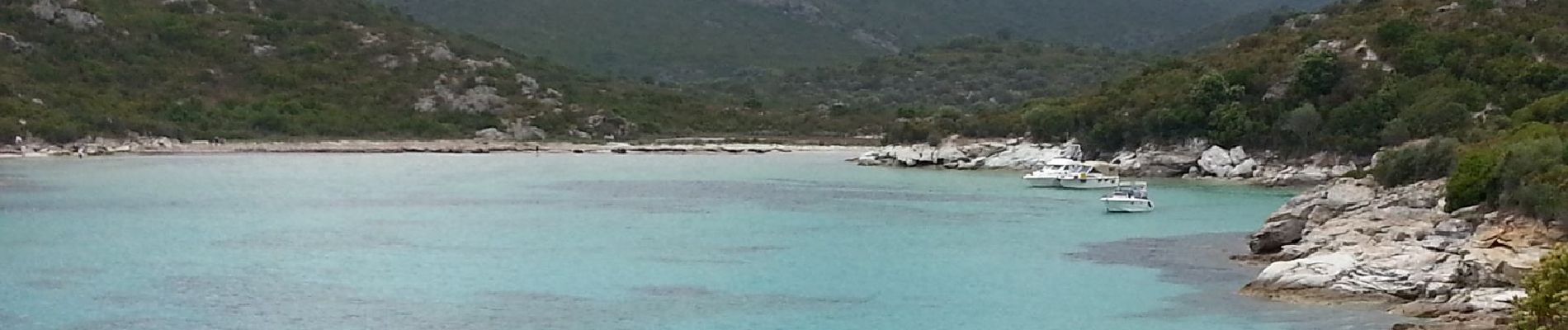 Randonnée Marche Santo-Pietro-di-Tenda - Plage de Saleccia - Saint-Florent - 20km 310m320 4h45 (1h15) - 2013 06 03 - Photo