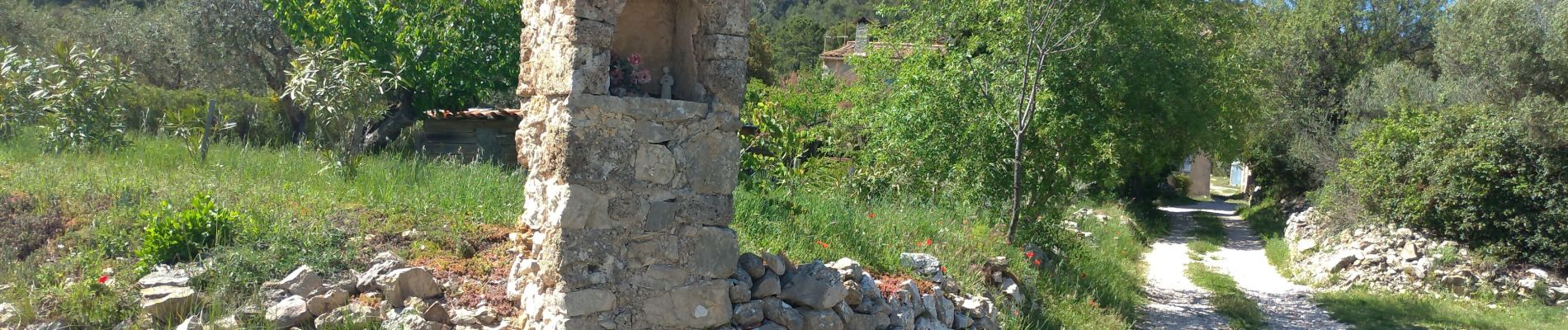 Randonnée Marche Cotignac - Cotignac Grand Bessillon - Photo