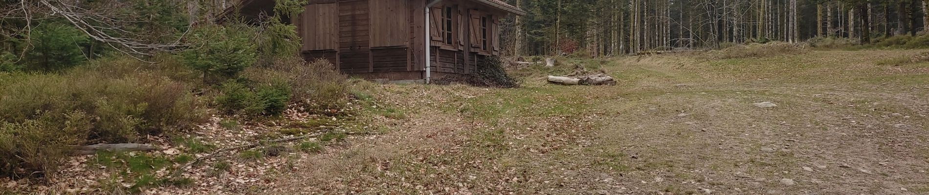 Randonnée Marche Ferdrupt - circuit col de la sûre chalets de rupts derrière et homant - Photo