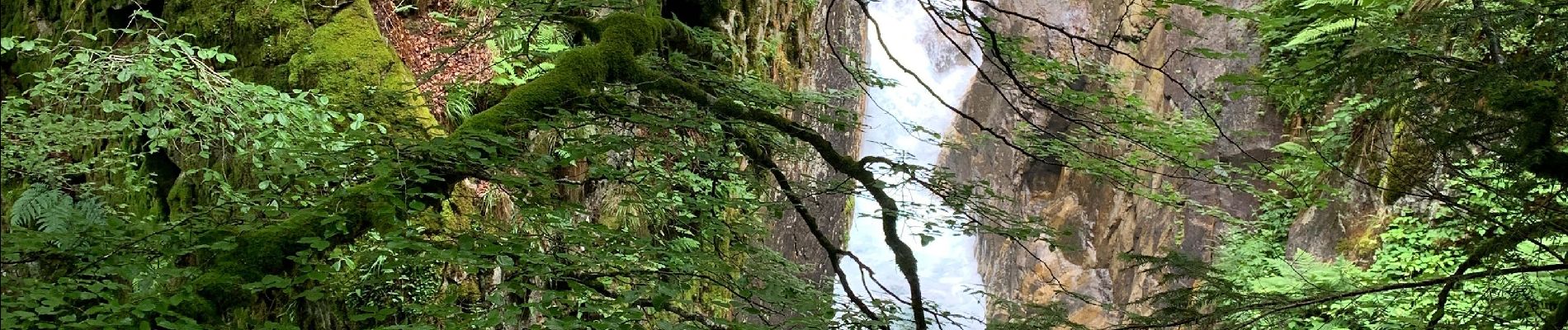 Percorso Marcia Cauterets - Chemin des cascades  - Photo