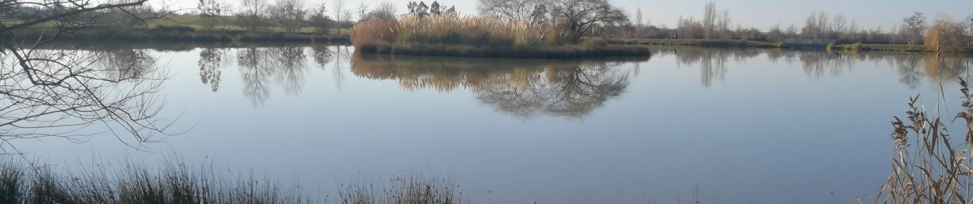 Tocht Stappen Fonsorbes - Les 3 B : Bidot, Birazel et Bordeneuve - Photo