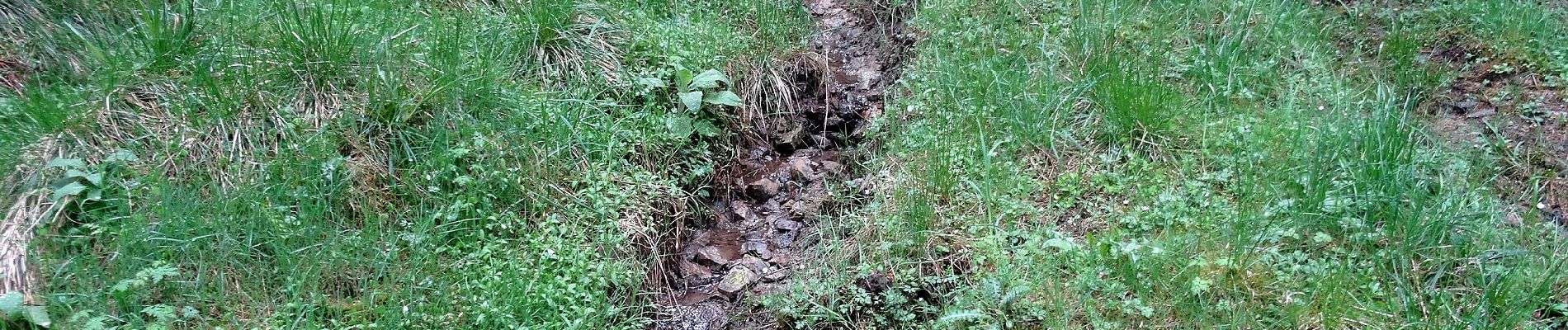 Randonnée A pied Meschede - Wanderweg Hirschberg-Freienohl - Photo