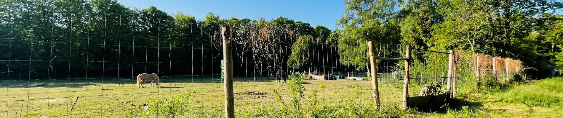 Punto di interesse Compiègne - Unnamed POI - Photo