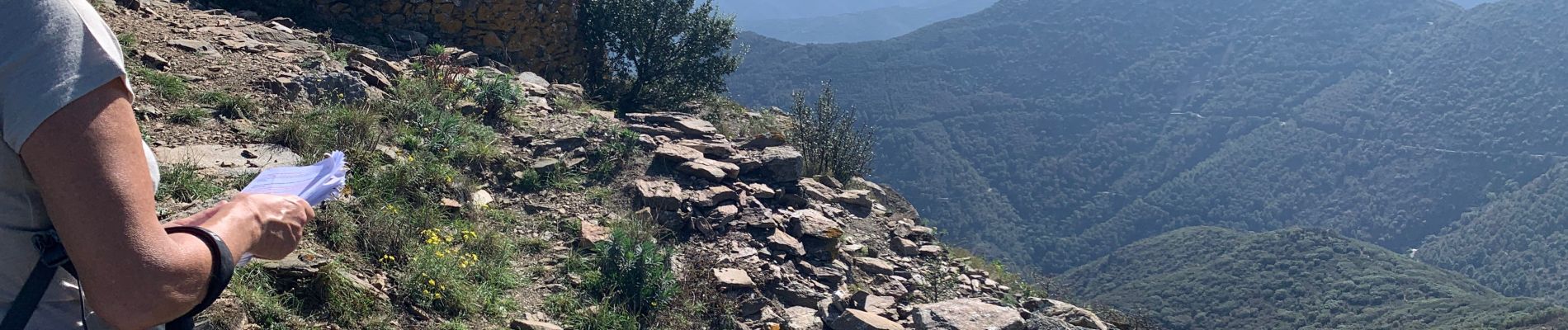 Trail Walking Banyuls-sur-Mer - Banyuls cerbere  - Photo