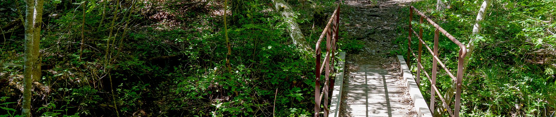 Tocht Stappen Le Castellard-Mélan - Sentier de découverte du Col de Fontbelle - Photo