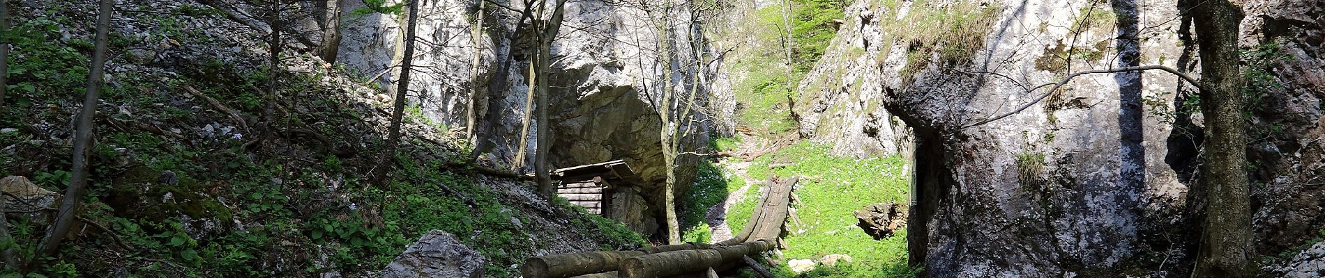 Tour Zu Fuß Gemeinde Bürg-Vöstenhof - Lackabodengraben - Friedrich Hallerhaus - Ternitzer Haus - Photo