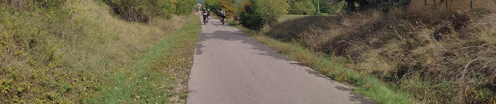 Excursión Cicloturismo Vogüé - Vogüé Vignobles et un Dolmen - Photo