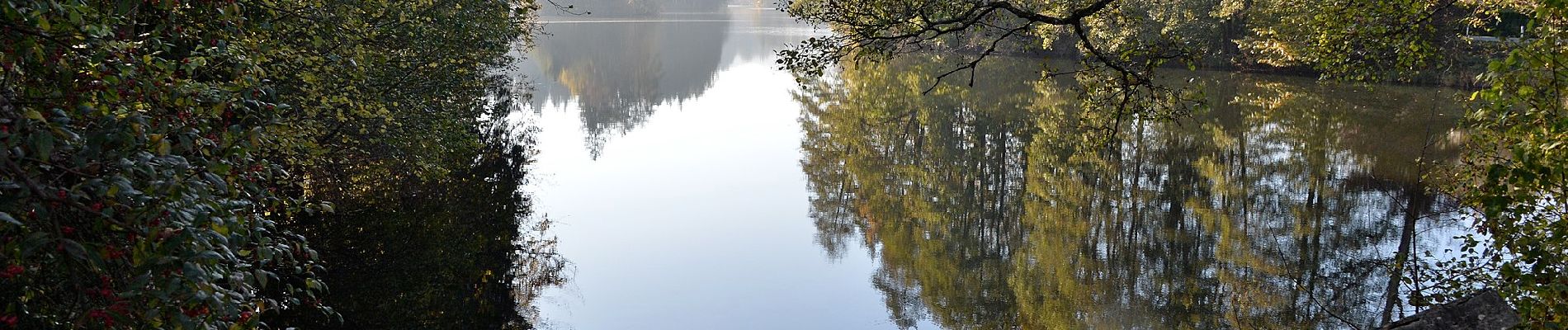 Tocht Te voet Moosburg - W1 Bannwaldweg - Photo