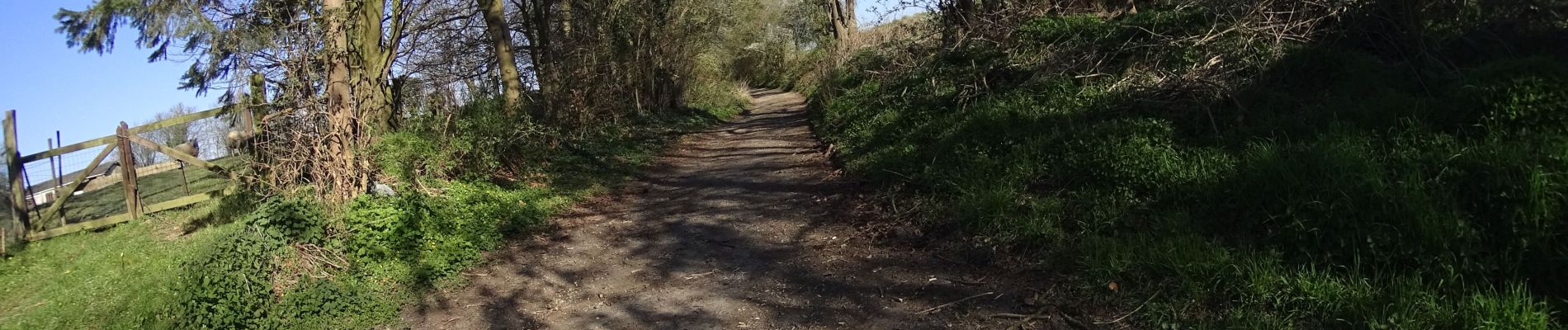 Tour Mountainbike Charleroi - Ransart a Mellery par Villers la ville - Photo